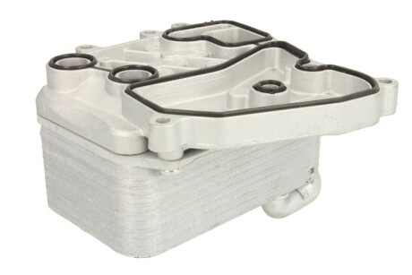 Фото 2 - Масляний радіатор THERMOTEC D4A019TT