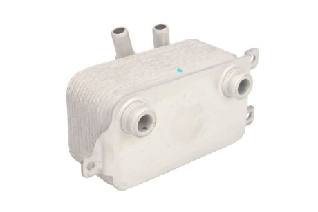 Фото 2 - Масляний радіатор THERMOTEC D4B003TT