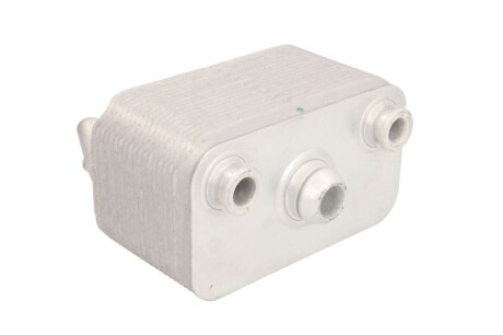 Фото 2 - Масляний радіатор THERMOTEC D4B005TT