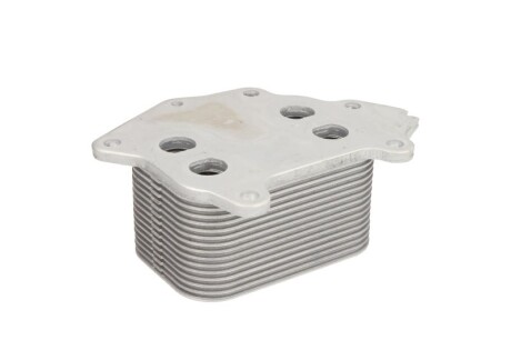 Фото 2 - Масляний радіатор THERMOTEC D4C003TT