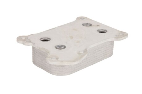 Фото 2 - Масляний радіатор THERMOTEC D4F004TT