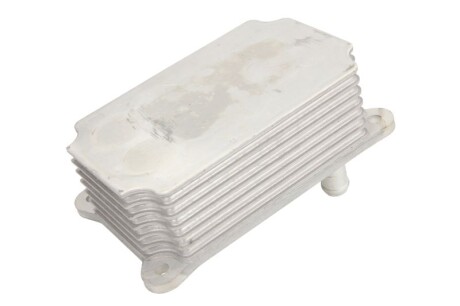 Фото 2 - Масляний радіатор THERMOTEC D4G004TT