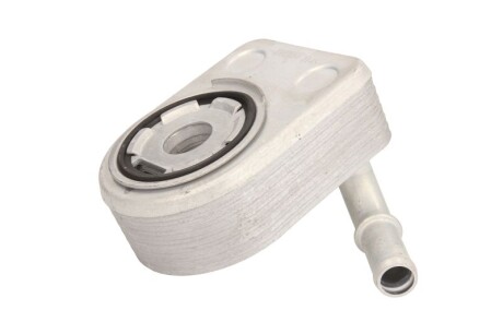 Фото 2 - Масляний радіатор THERMOTEC D4G010TT