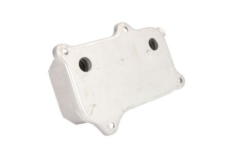 Фото 2 - Масляный радиатор THERMOTEC D4M002TT