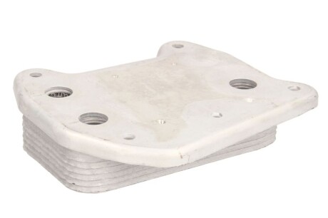 Фото 2 - Масляный радиатор THERMOTEC D4M004TT