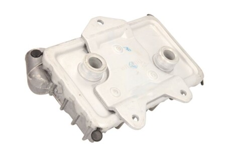 Фото 2 - Масляний радіатор THERMOTEC D4M006TT