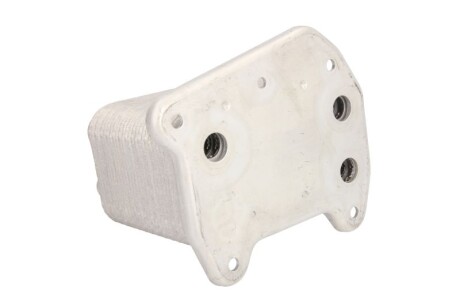 Фото 2 - Масляный радиатор THERMOTEC D4M010TT