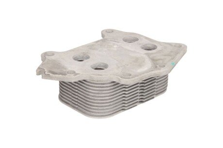 Фото 2 - Масляний радіатор THERMOTEC D4P001TT