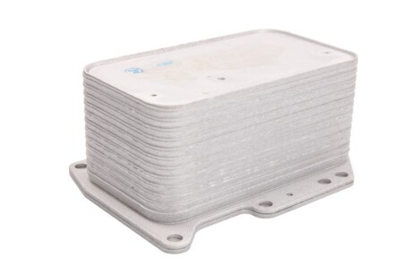 Фото 2 - Масляный радиатор THERMOTEC D4R006TT