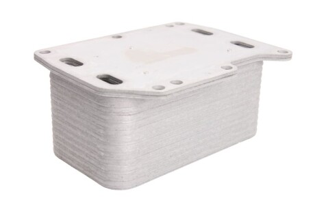 Фото 3 - Масляный радиатор THERMOTEC D4R006TT