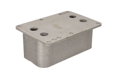 Фото 2 - Масляний радіатор THERMOTEC D4R008TT