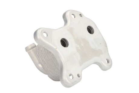 Фото 2 - Масляный радиатор THERMOTEC D4X001TT