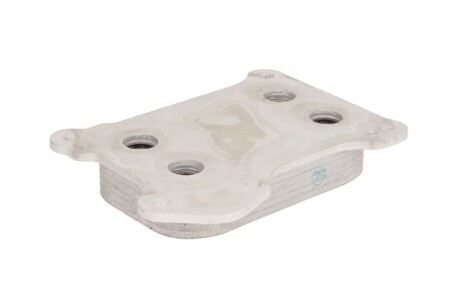 Фото 2 - Масляний радіатор THERMOTEC D4X002TT