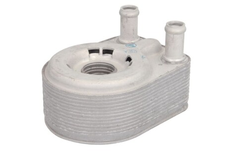 Фото 2 - Масляний радіатор THERMOTEC D4Y001TT