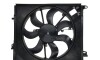 Вентилятор радиатора охлаждения - (214813939R) THERMOTEC D8R018TT (фото 1)