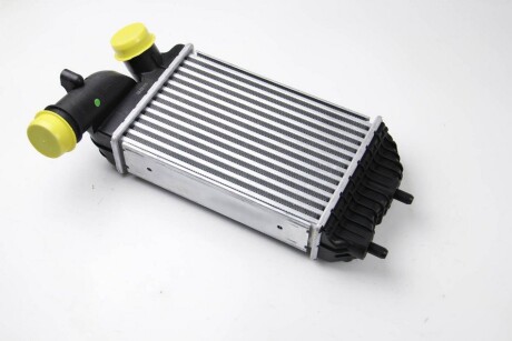Фото 2 - Інтеркулер THERMOTEC DAF001TT