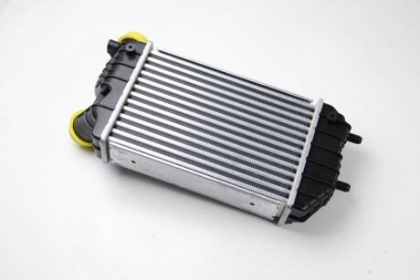 Фото 3 - Інтеркулер THERMOTEC DAF001TT
