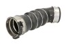 Патрубок інтеркулера - ((11617800142)) THERMOTEC DCB049TT (фото 1)