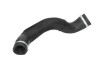 Патрубок інтеркулера - ((4F0145738AG, 4F0145738N)) THERMOTEC DCW211TT (фото 1)