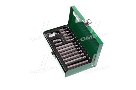 Набір біт 10мм TORX 15од. - Toptul GAAD1506