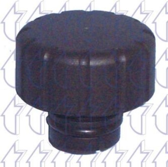 Кришка розширювального бачка MERCEDES A (W168), A (W169), B SPORTS TOURER (W245), VANEO (414) 1.4-2.1 07.97-06.12 - TRICLO 313338