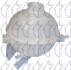 Розширювальний бачок охолоджуючої рідини CITROEN C2, C3 I, C3 II PEUGEOT 1007, 206, 206+, 307 07.00- - ((1307XT)) TRICLO 481583 (фото 1)
