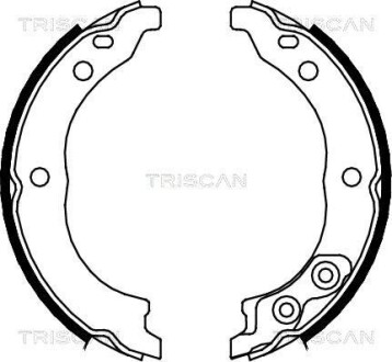 Комплект гальмівних колодок, Стоянкове гальмо - (4241L1, 4241L9, 4241N0) TRISCAN 810010010