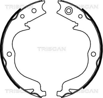 Комплект гальмівних колодок, Стоянкове гальмо - TRISCAN 810010029