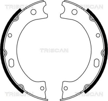 Комплект тормозных колодок, стояночная тормозная система - TRISCAN 810014011