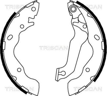 Комплект гальмівних колодок - TRISCAN 810043013