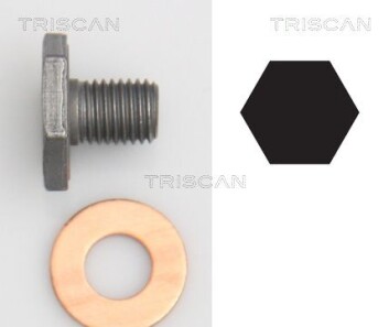 (з шайбою) Корок масляного піддона M10x1.25/ L 13 - TRISCAN 95001010