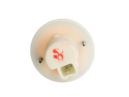 Фото 5 - Вказівник повороту TRUCKLIGHT CL-MA001