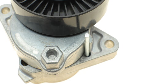 Фото 2 - Ролик ремня приводного TRUCKTEC 02.19.920 (0219920)