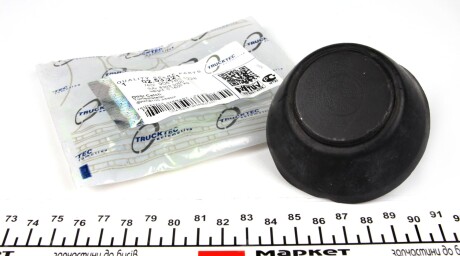 Фото 2 - Двері TRUCKTEC 02.53.221 (0253221)