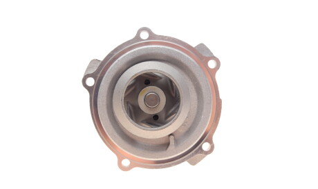 Фото 3 - Водяной насос TRUCKTEC 07.19.080