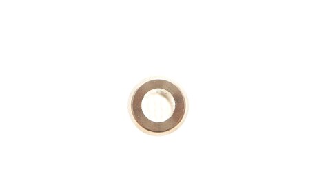 Фото 2 - Напрямна клапанів TRW 81-33111 (8133111)