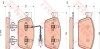 Тормозные колодки дисковые передние (Volkswagen) - (7E0698151, 7E0698151B, 7E0698151C) TRW GDB1887 (фото 2)