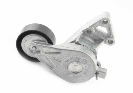 Фото 2 - Ролик ременя приводного VAG 038903315AE