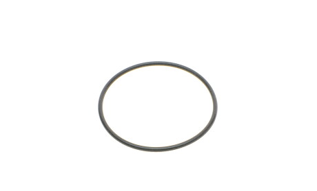 Фото 5 - Паливний фільтр VAG 3C0127434