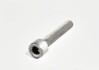 Болт M8X48 внутрішній TORX Audi, VW,, Seat - VAG N91108201 (фото 1)