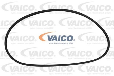 Ущільнювач скла - ((113845521B)) VAICO V100888 (фото 1)