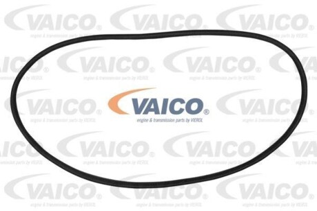 Ущільнювач скла - ((111845121J, 113845121J, 113845121E)) VAICO V100889 (фото 1)