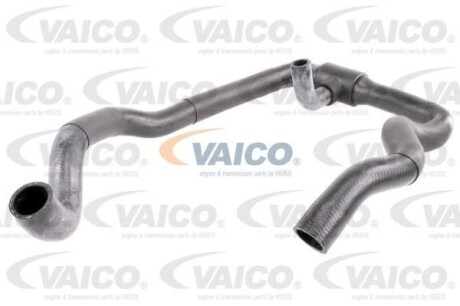 Шланг гумовий сист. охолоджен. - VAICO V102802