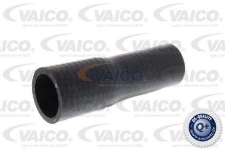 Шланг гумовий сист. охолоджен. - VAICO V102805