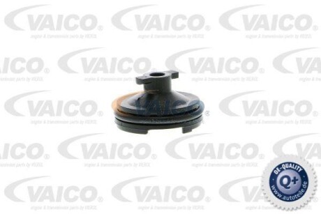 Фото 2 - Пробка масляного піддону VAICO V251116