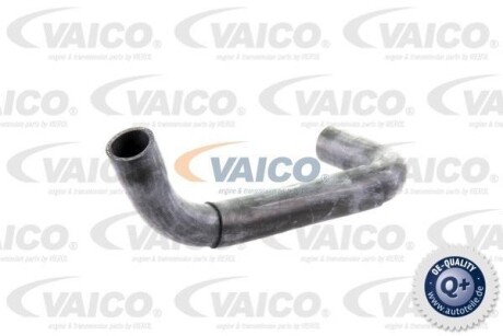 Шланг гумовий сист. охолоджен. - VAICO V300718