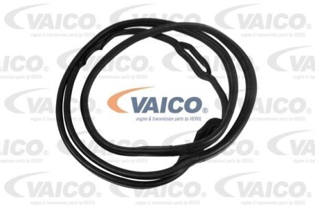 Ущільнювач дверей - ((2017300278, 2017300878, A2017300278, A2017300878)) VAICO V301547 (фото 1)