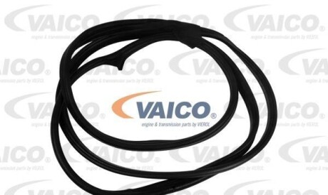 Уплотнение двери - VAICO V30-1559