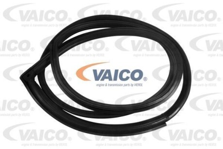 Уплотнение двери - VAICO V30-1569