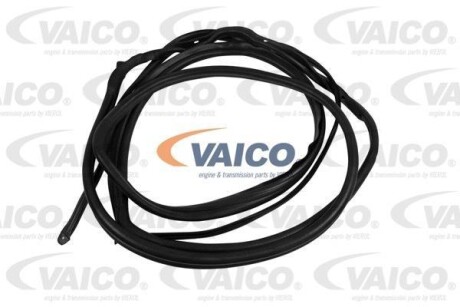 Ущільнювач дверей - VAICO V301630